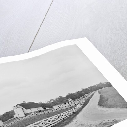 Swann's Point Plantation by Anonymous