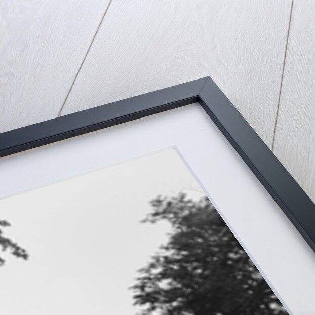 McLean House by Anonymous