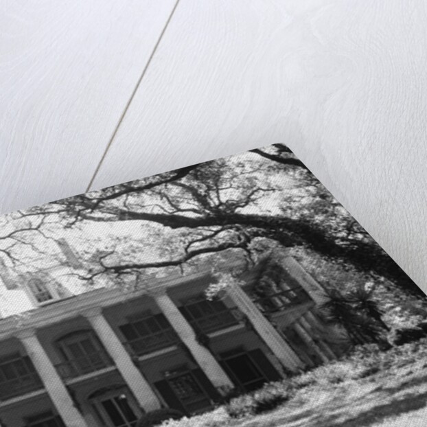 Exterior of Large Plantation Home by Anonymous