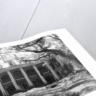 Exterior of Large Plantation Home by Anonymous