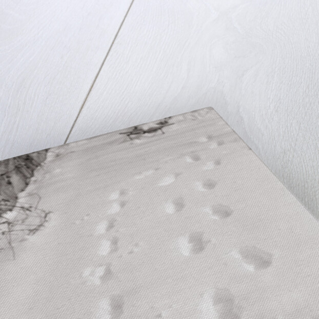 Footprints in the Snow by Anonymous