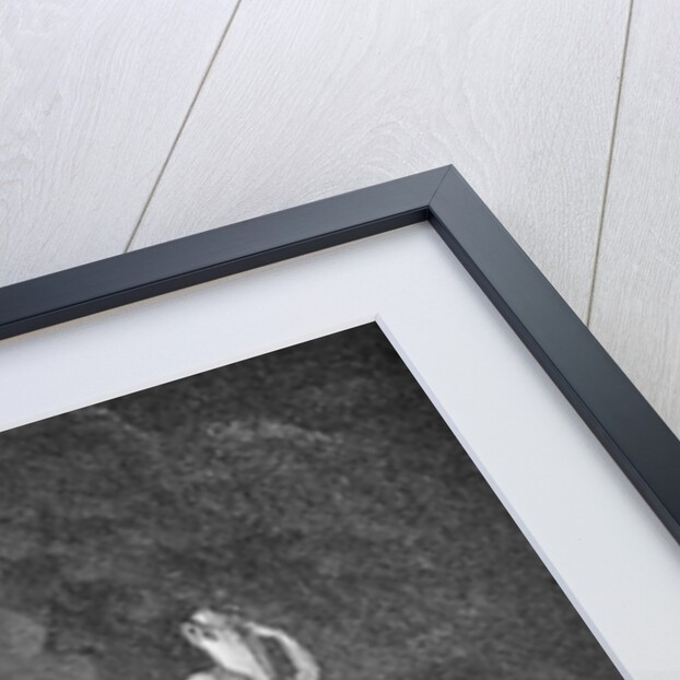 The Destruction of Sodom by Anonymous