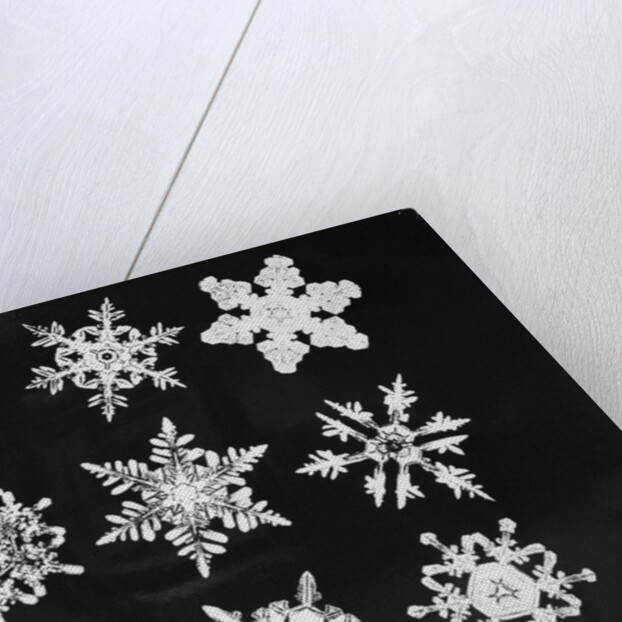 Assorted Snowflake Patterns by Anonymous