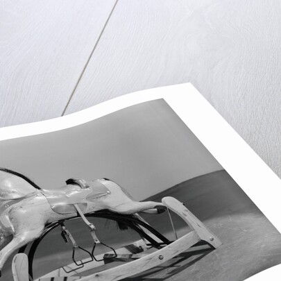 Hobby Horse by Anonymous