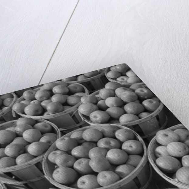 Baskets of Apples by Anonymous