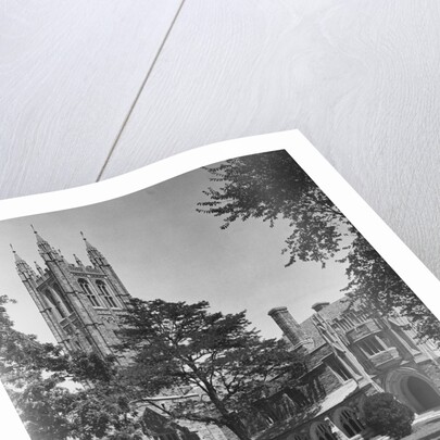 View of Princeton University, Madison Hall by Anonymous