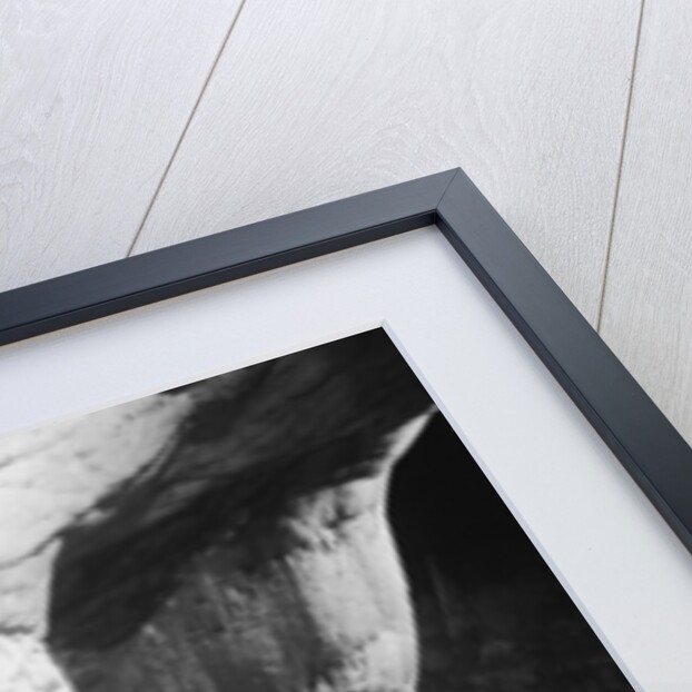 Stalactites and Stalagmites in Carlsbad Caverns by Anonymous