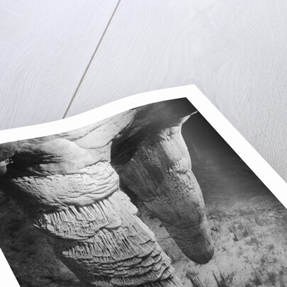 Stalactites and Stalagmites in Carlsbad Caverns by Anonymous