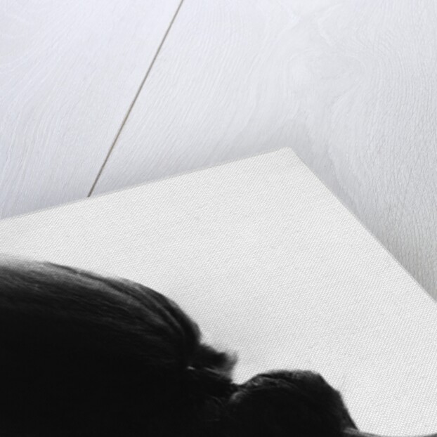 Head Fur of Standard Poodle by Anonymous