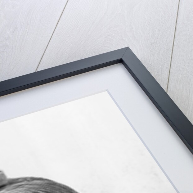 Elihu Thomson's First Electric Welding Transformer by Anonymous