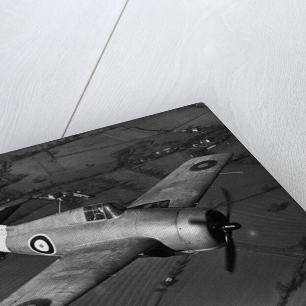 Grumman Martlet 1 by Anonymous