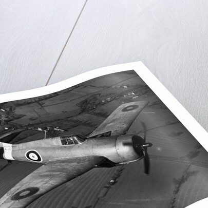 Grumman Martlet 1 by Anonymous
