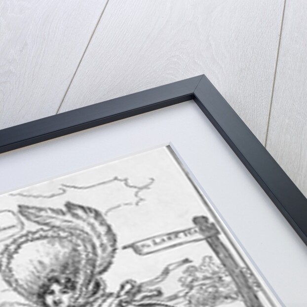 Women Riding Dandy Horse Bicycles by Anonymous