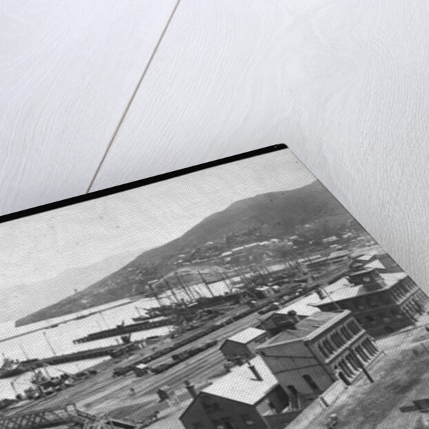 Lyttleton Harbour by Anonymous