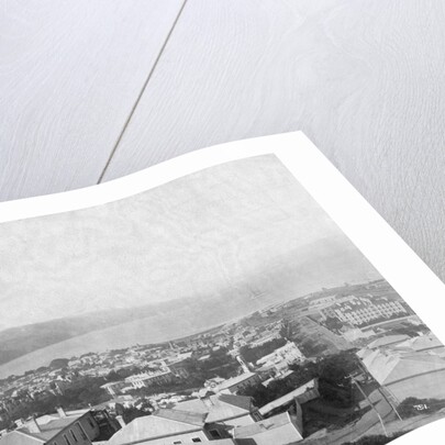 Wellington, ca. 1885 by Anonymous
