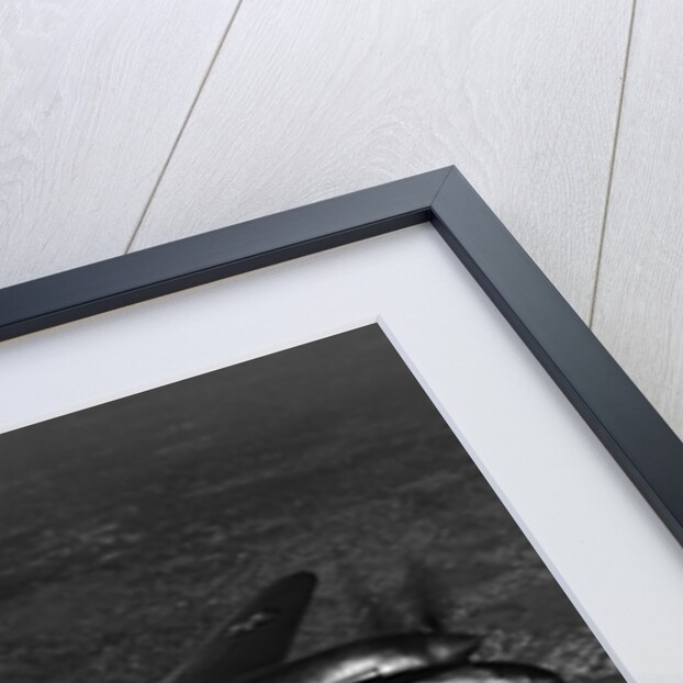 Lockheed Lightning by Anonymous