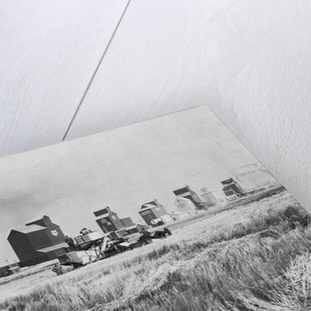 Combine Harvesters at Work in Canada by Anonymous