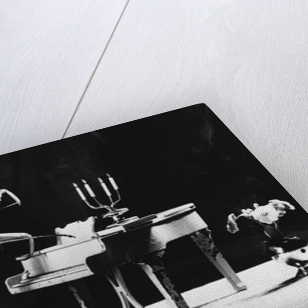 A Musical Praying Mantis by Anonymous