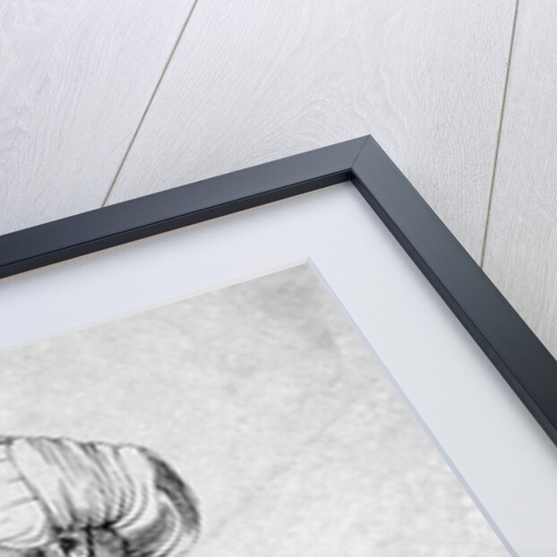 Mirza Ghulam Ahmed Khan, Indian Messiah 1838 - 1908 by Anonymous