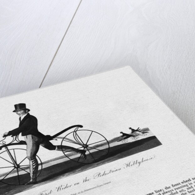 Johnson's Hobby Horse by Anonymous