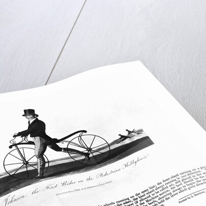 Johnson's Hobby Horse by Anonymous