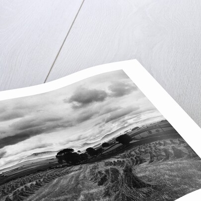 Welsh Wheat Fields With Snowdonia in the Distance by Anonymous
