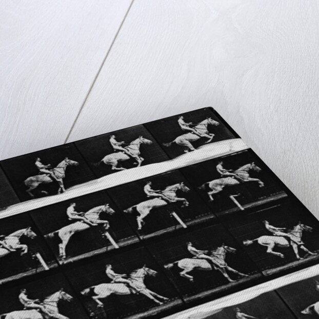 Nude Man Riding Horse by Anonymous