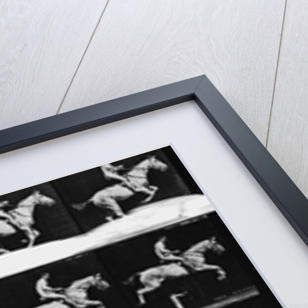 Nude Man Riding Horse by Anonymous