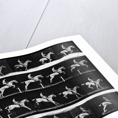 Nude Man Riding Horse by Anonymous