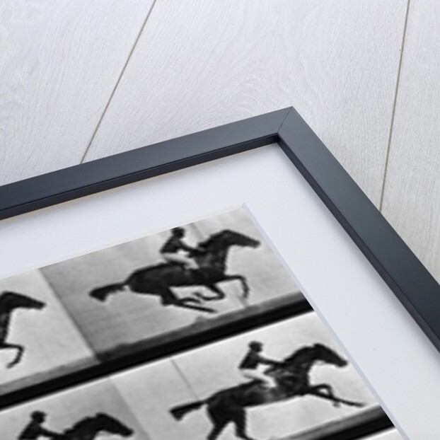 Man Riding Galloping Horse by Corbis