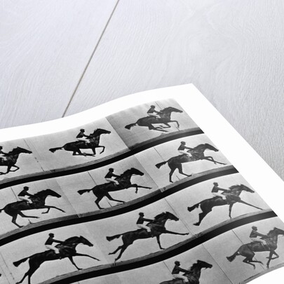 Man Riding Galloping Horse by Anonymous