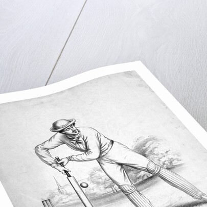 Cricket Player by Anonymous