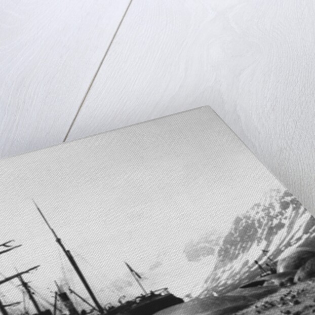 Whaler and Dead Whales by Anonymous