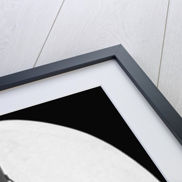 Front View of the Rocket by Anonymous