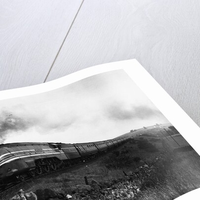 Queen Elizabeth Locomotive by Anonymous