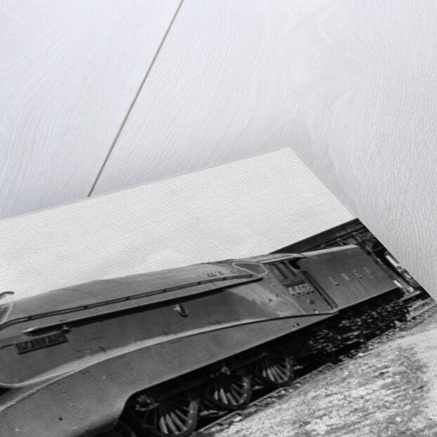 Mallard Locomotive by Anonymous