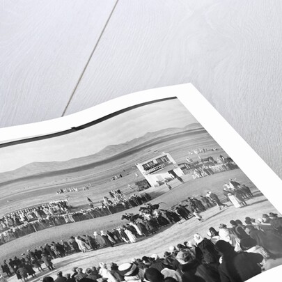 Biskra Racetrack by Anonymous
