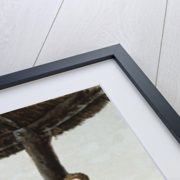 A Romanised Briton and a Feryllt by Robert Havell