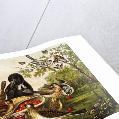 Color Print of Birds Feasting on a Fruit Pie by Anonymous