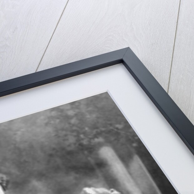 Julius Caesar by Anonymous