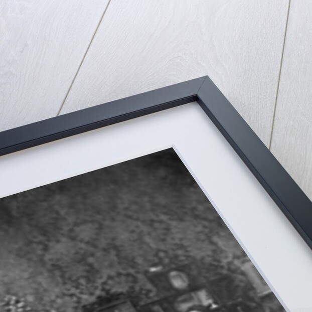 A Dance Under the Mistletoe by Anonymous