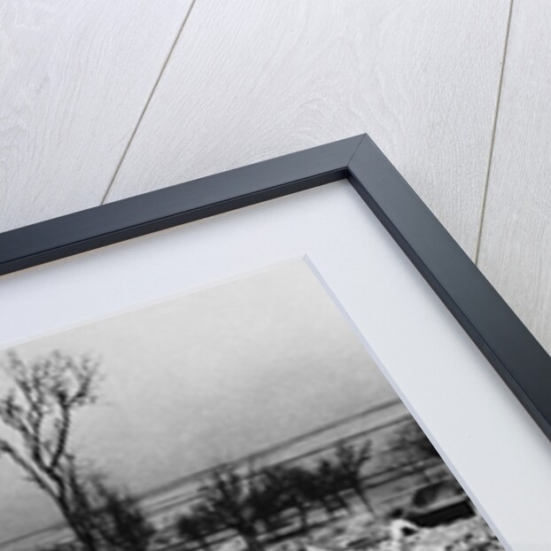 Tree Stump Where the Village of Lidice Once Stood, 1942 by Anonymous