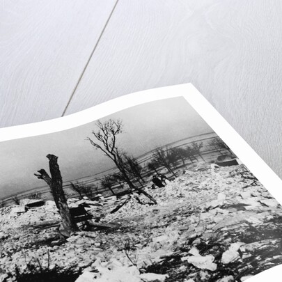 Tree Stump Where the Village of Lidice Once Stood, 1942 by Anonymous