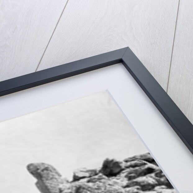 Lion Gate at Mycenae by Anonymous