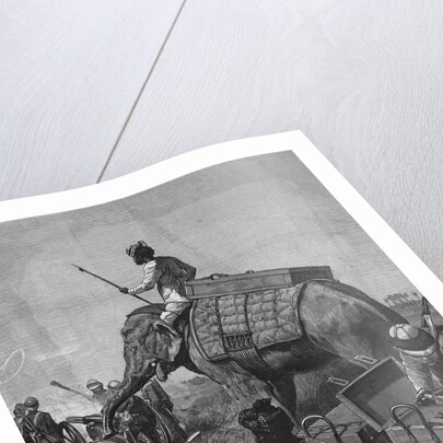 Elephant Battery at Action in Burma by Anonymous