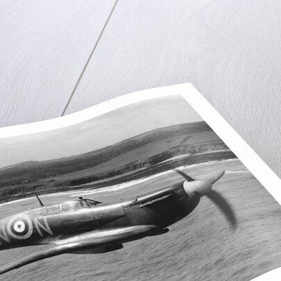 Spitfire In Flight. by Anonymous
