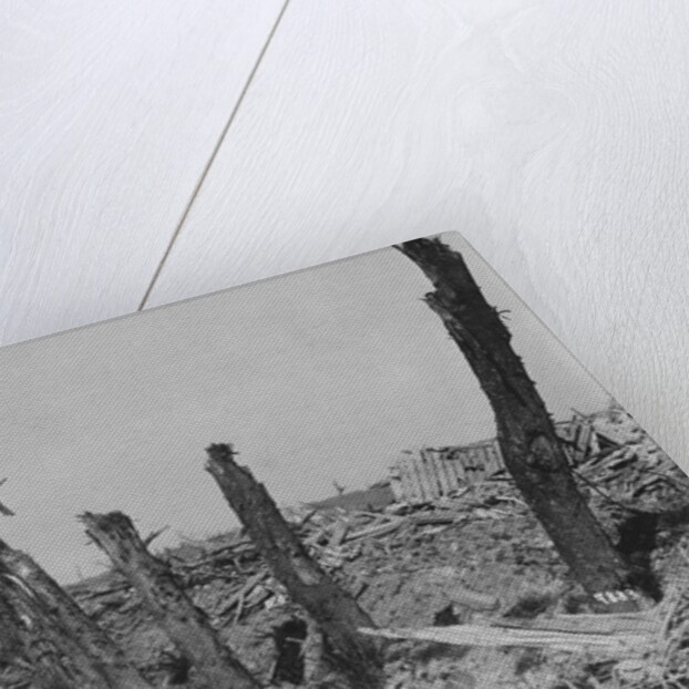Devastated Battlefield of The Somme, 1916 by Anonymous