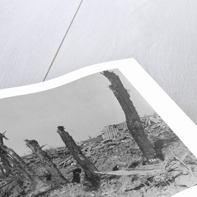 Devastated Battlefield of The Somme, 1916 by Anonymous