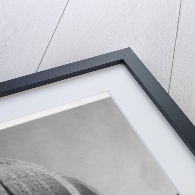 Bahai House of Worship by Anonymous