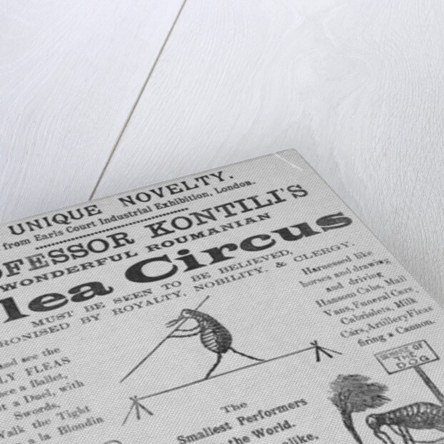 Advertisement For Flea Circus by Anonymous